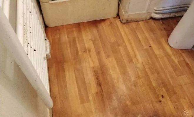 Nettoyage de maison et d'appartement, Rennes, Expert Clean Concept