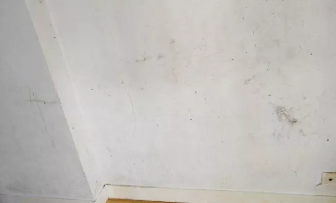 Nettoyage de maison et d'appartement, Rennes, Expert Clean Concept