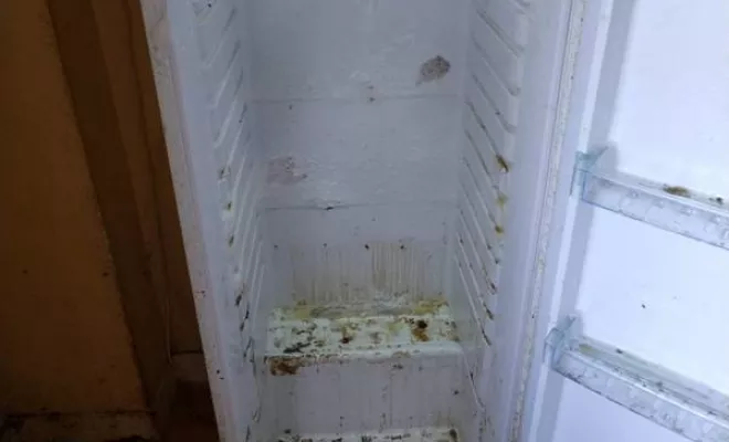 Nettoyage de maison et d'appartement, Rennes, Expert Clean Concept