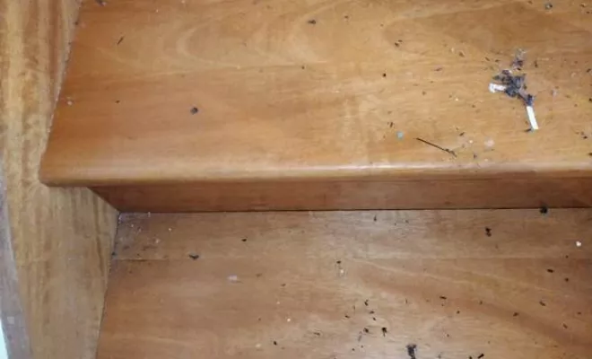 Nettoyage de maison et d'appartement, Rennes, Expert Clean Concept