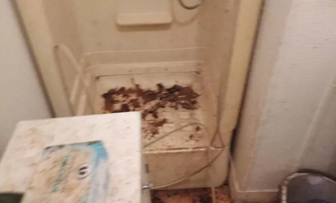 Nettoyage de maison et d'appartement, Rennes, Expert Clean Concept