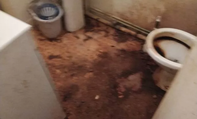 Nettoyage de maison et d'appartement, Rennes, Expert Clean Concept